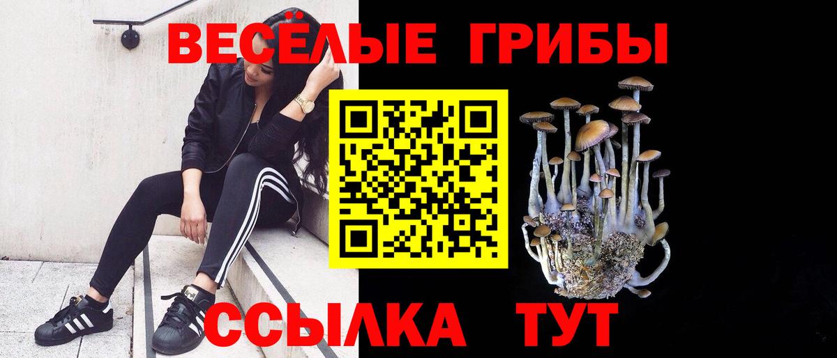 Галлюциногенные грибы прущие грибы  Вход с VPN  Галлюциногенные грибы GOLDEN TEACHER  Кимры 