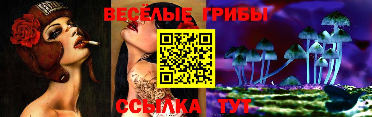 Галлюциногенные грибы мухоморы Кимры
